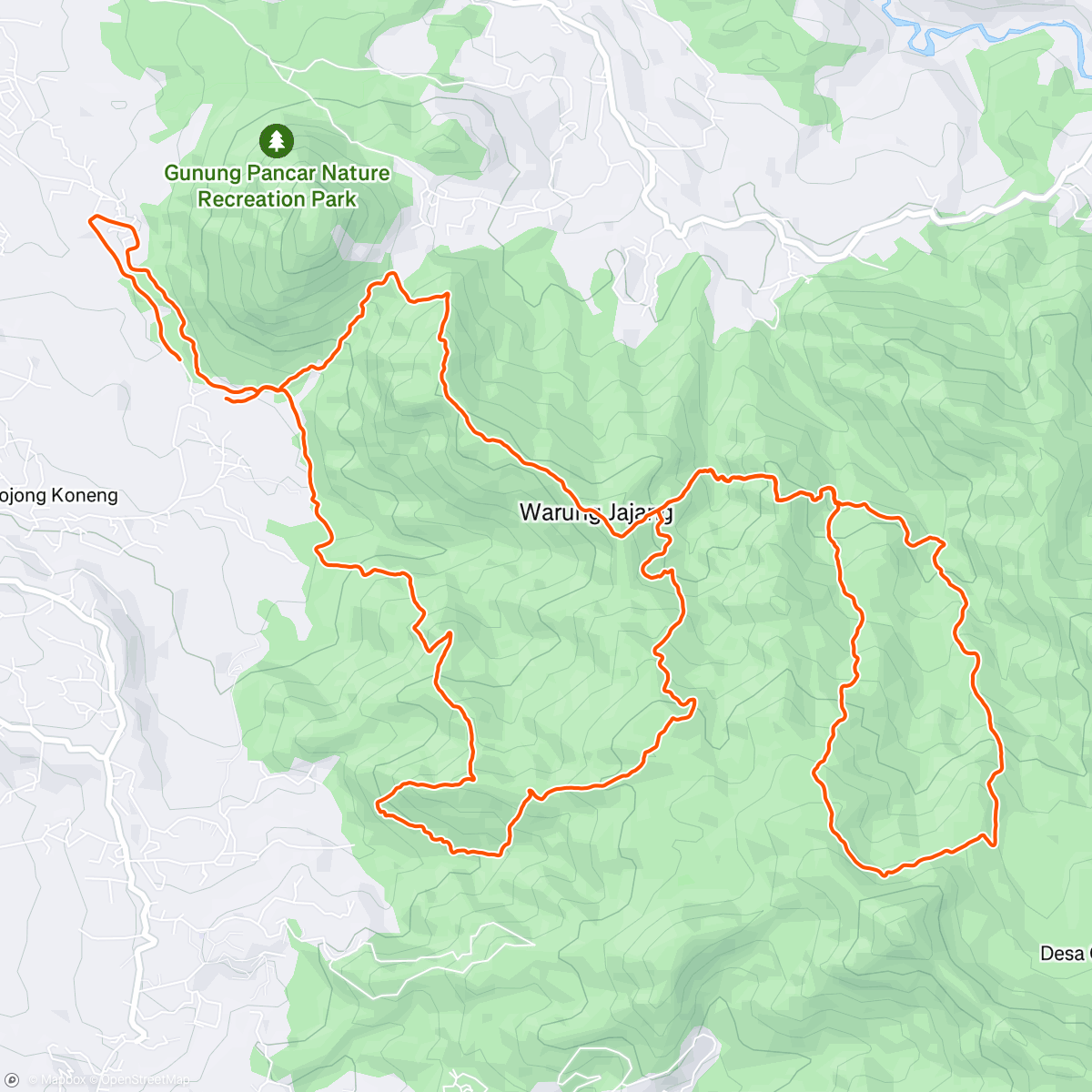 Map of the activity, Morning Trail Run