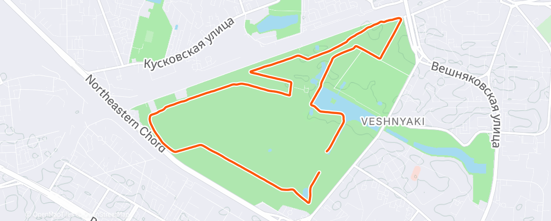 Карта физической активности (Утренний забег)