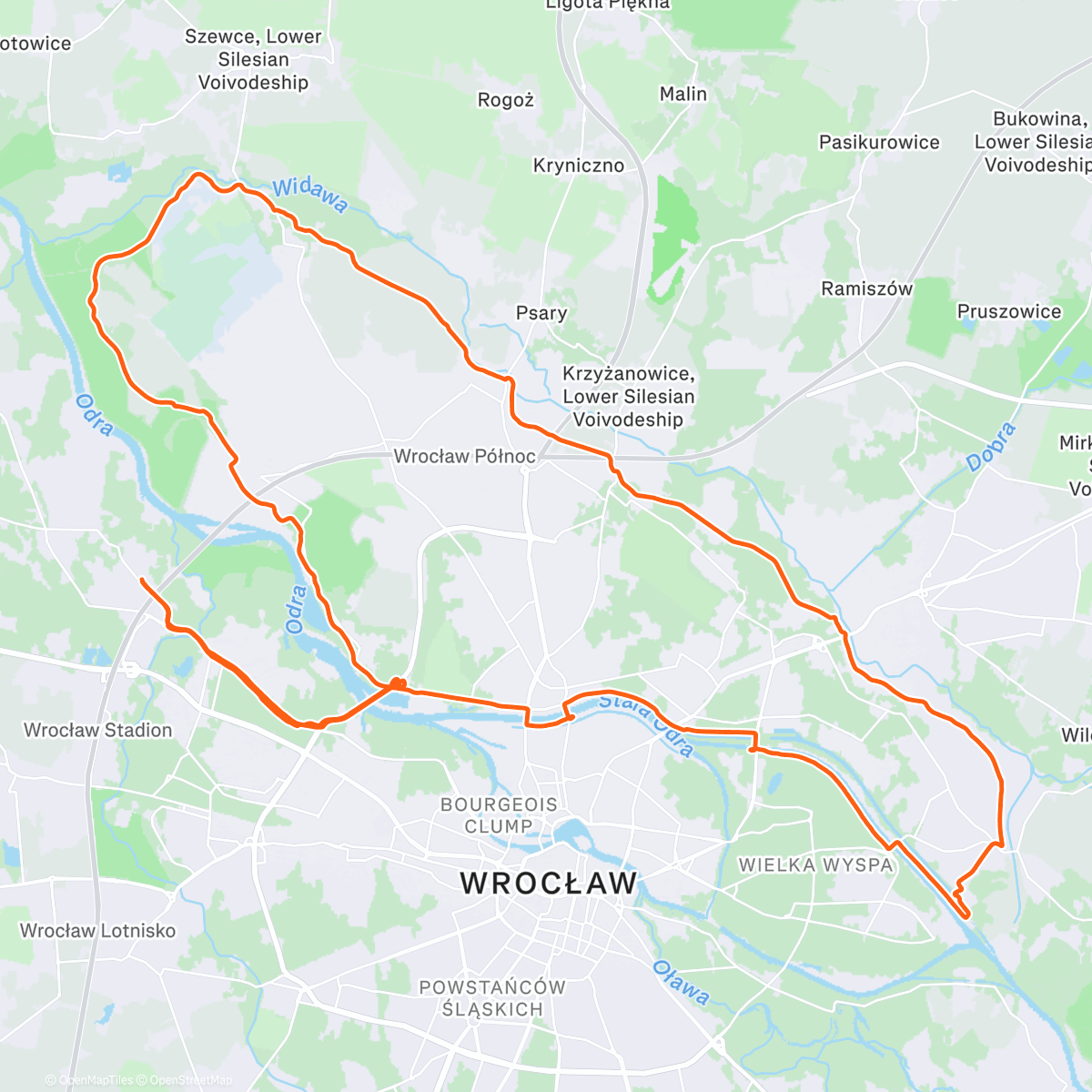 Карта физической активности (Endurance z 🦔🦔)