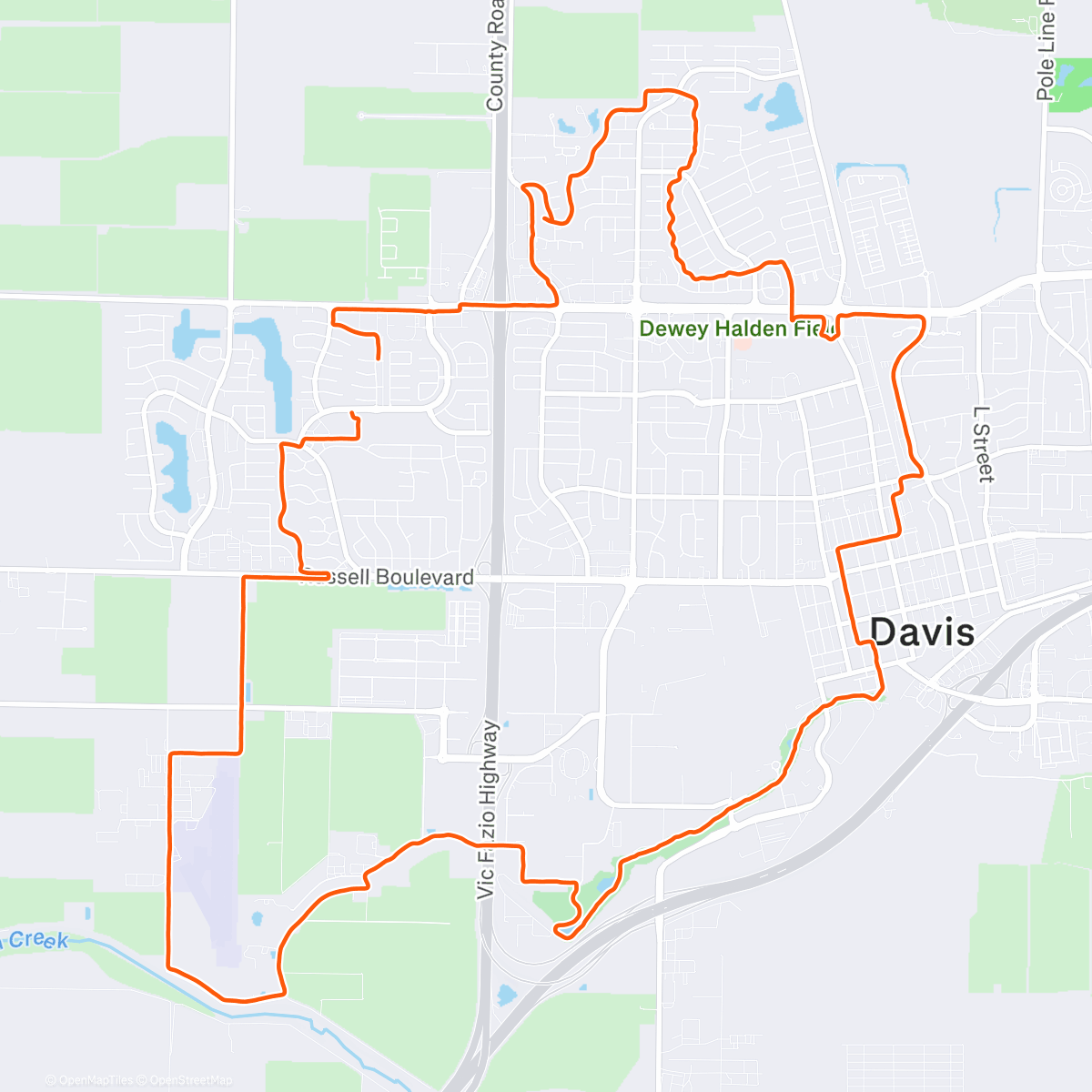 Карта физической активности (Morning Run)