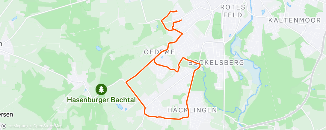 Map of the activity, Lauf am Morgen