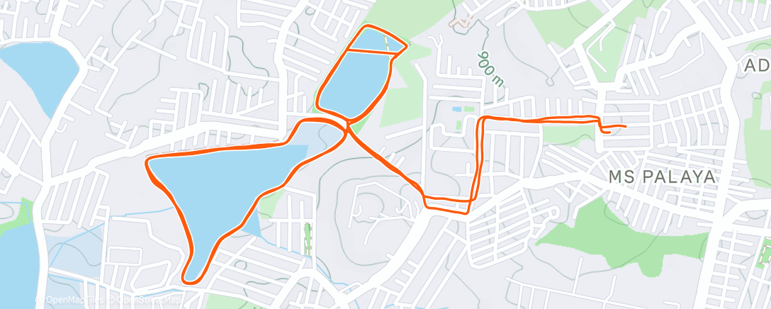 Map of the activity, Afternoon Run