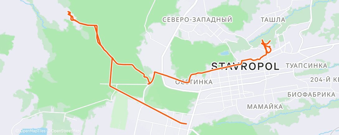 Map of the activity, Трейлраннинг (утро)