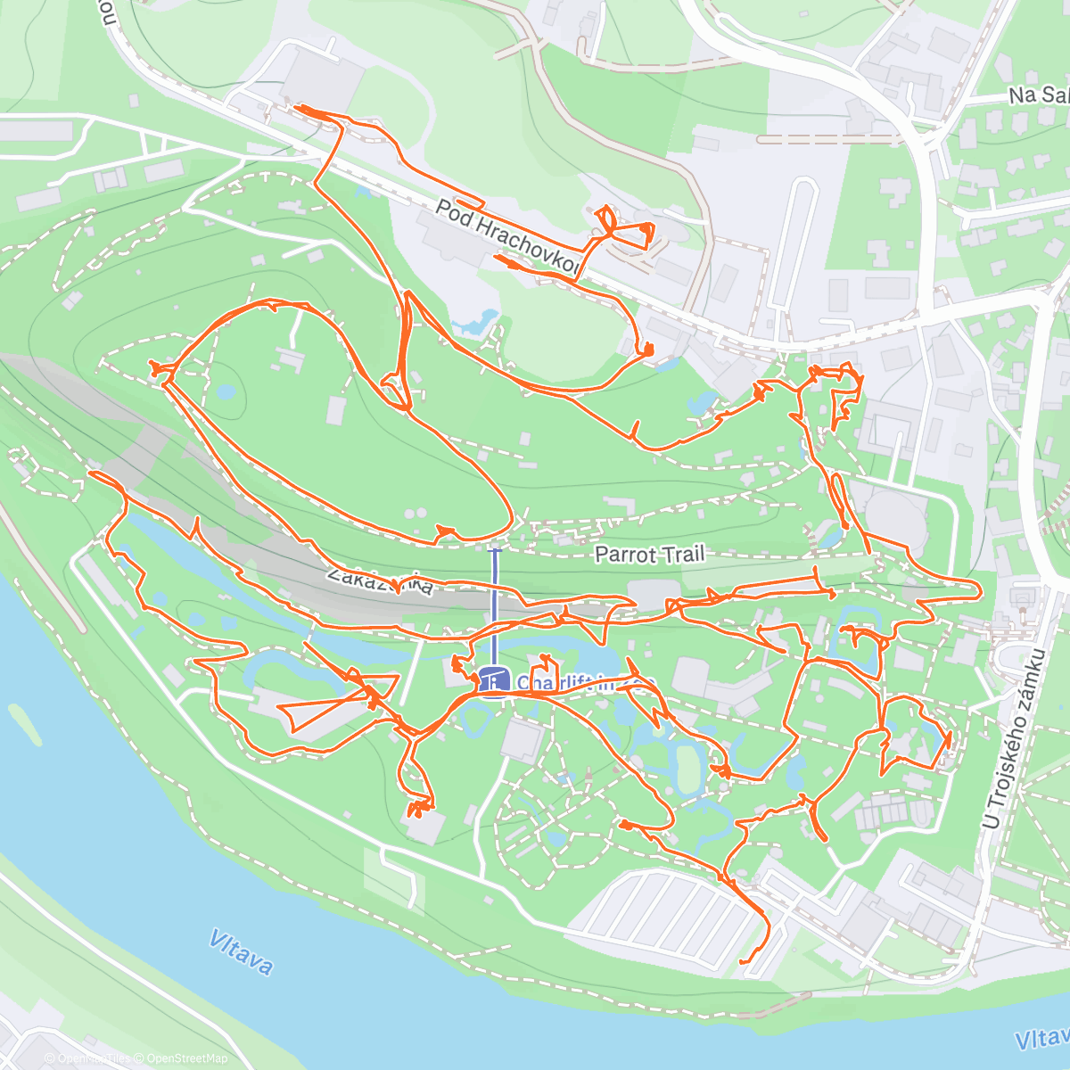 Карта физической активности (Zoo)