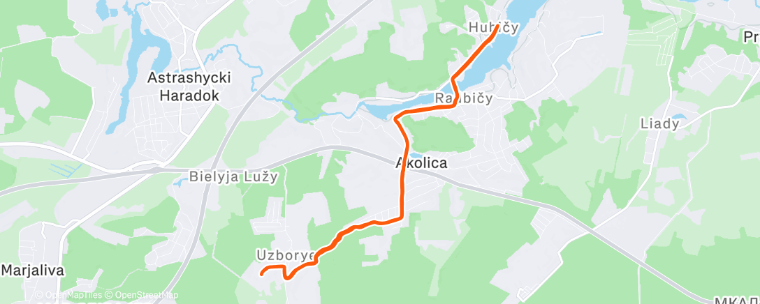 Карта физической активности (Morning Run)