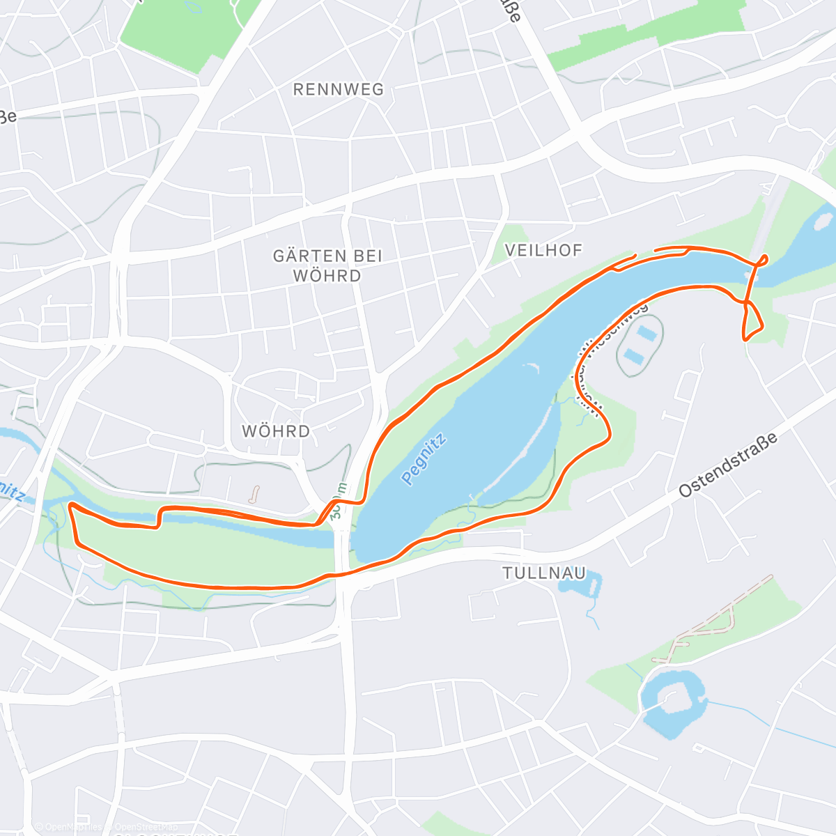 Map of the activity, Silvesterlauf