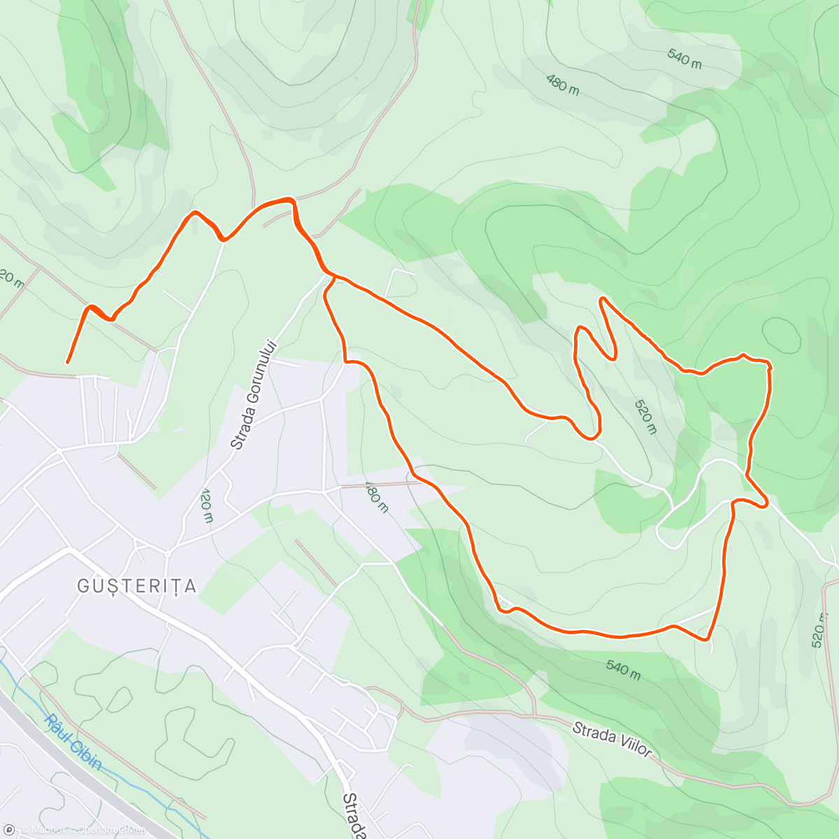 Map of the activity, Gusterita spring run