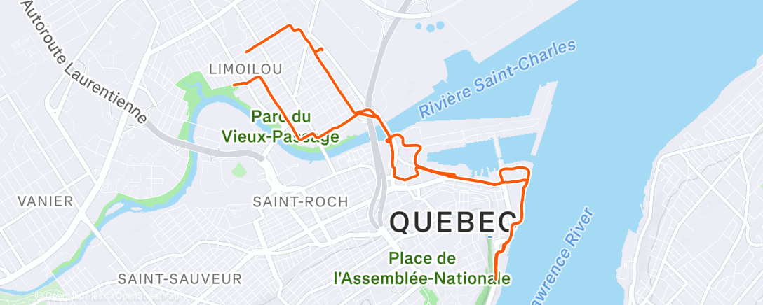 Карта физической активности (Afternoon Run)