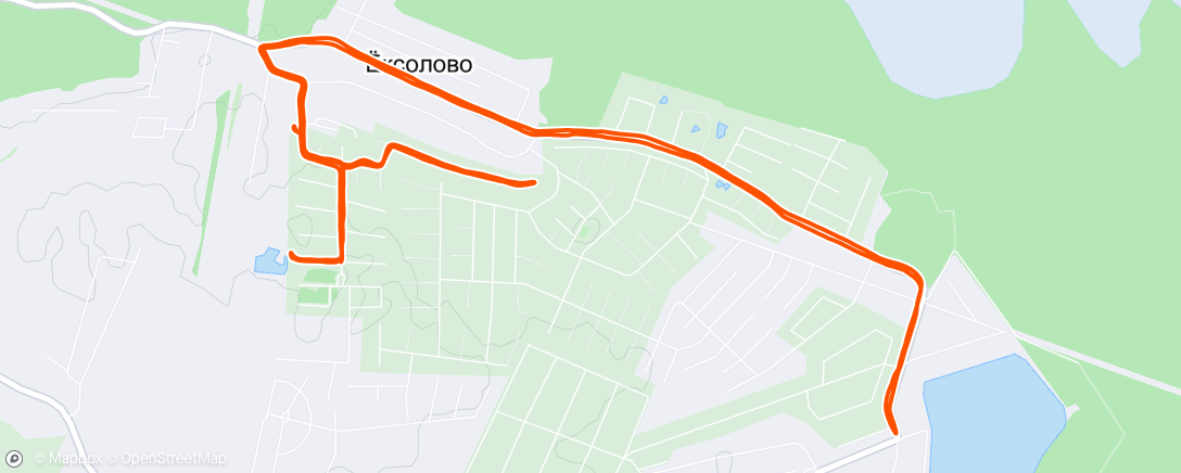 Map of the activity, Afternoon Run