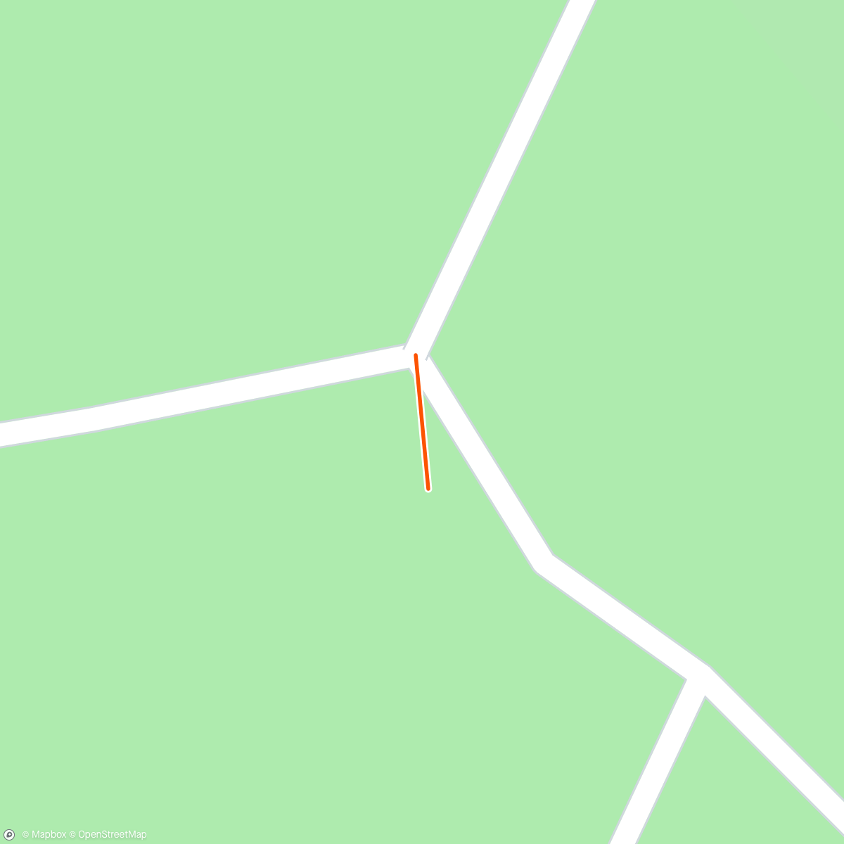 Map of the activity, Zoo run