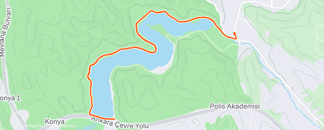 Map of the activity, Morning Run