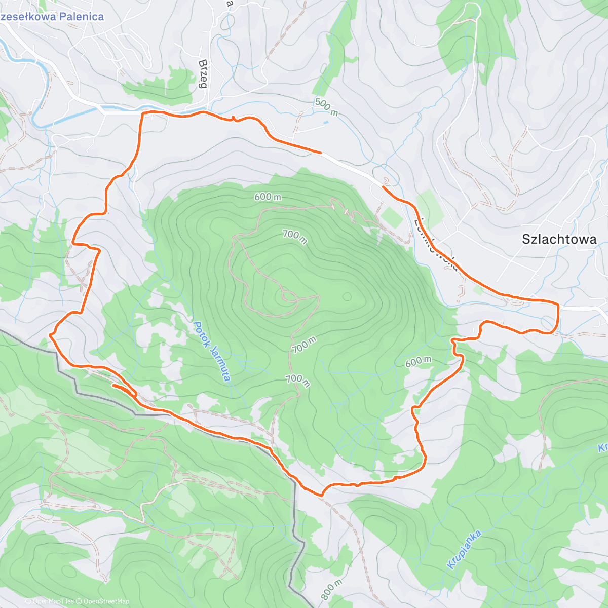 Карта физической активности (Lunch Hike)