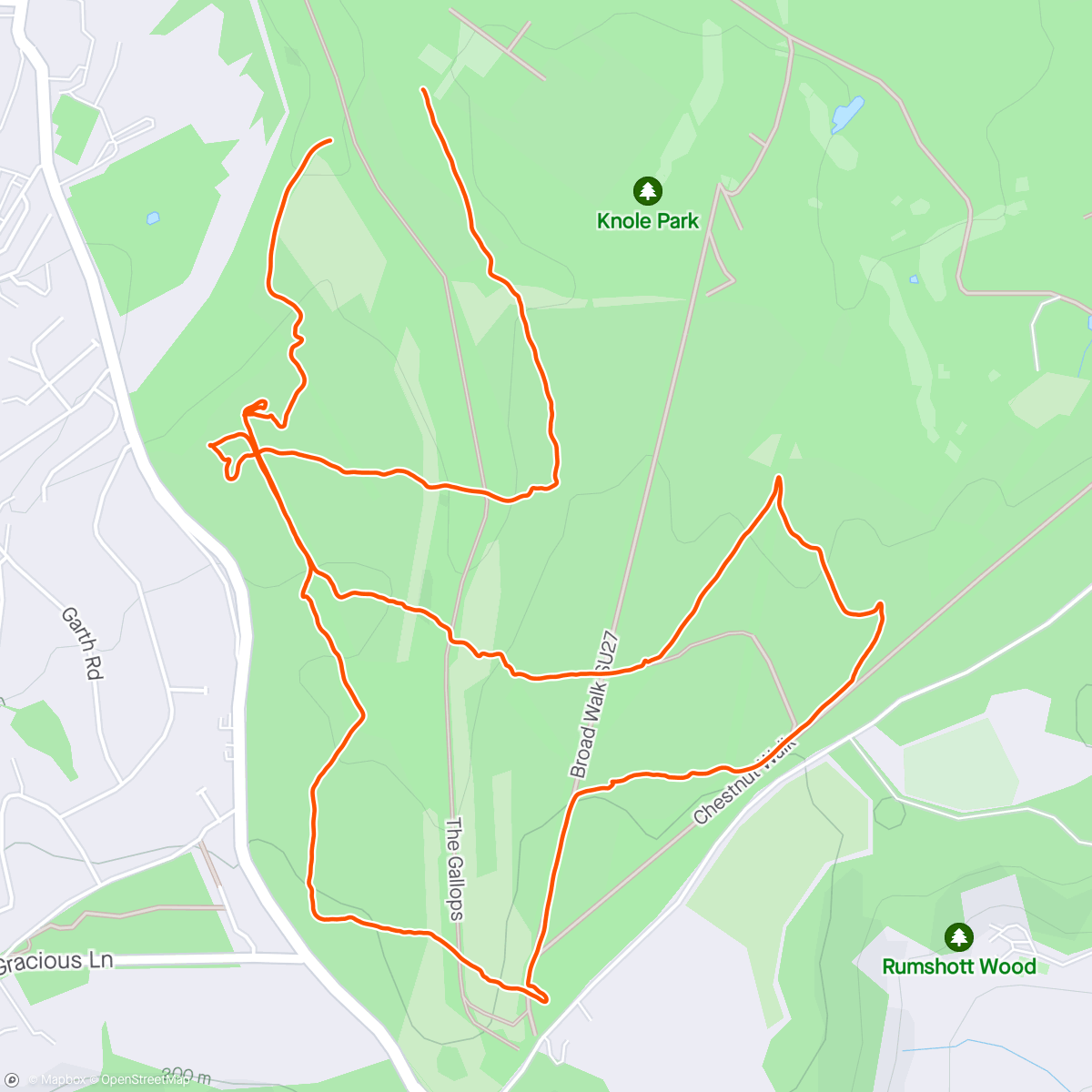 Map of the activity, Knole Park Orienteering (Short Blue Course)