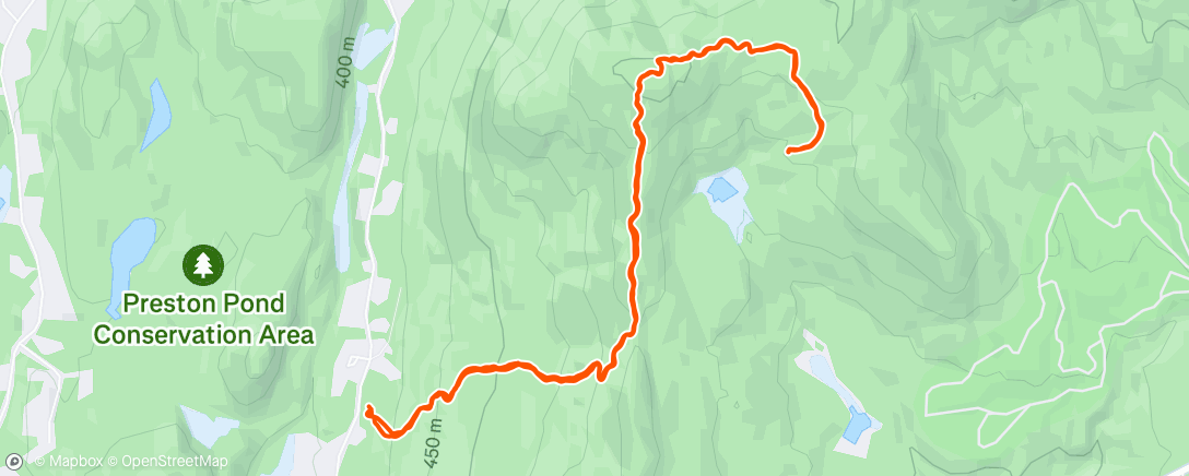 Map of the activity, Old LT -> LT N -> Buchanan