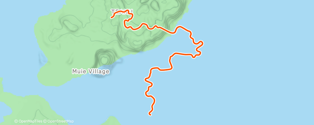 Map of the activity, Zwift - Tempus Fugit in Watopia