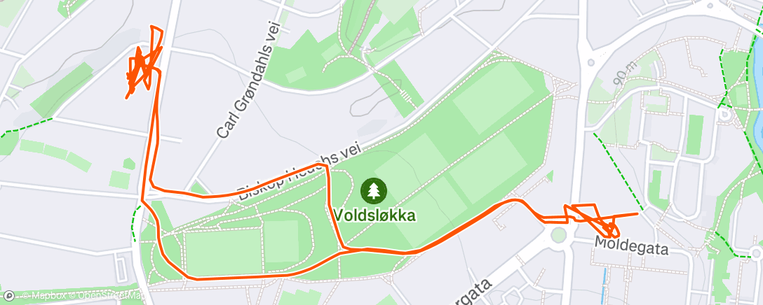 Map of the activity, Afternoon Ride