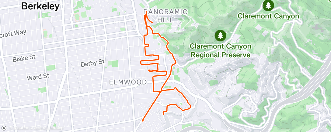 Map of the activity, Morning Run