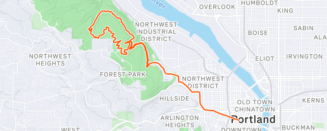 Map of the activity, Morning Trail Run