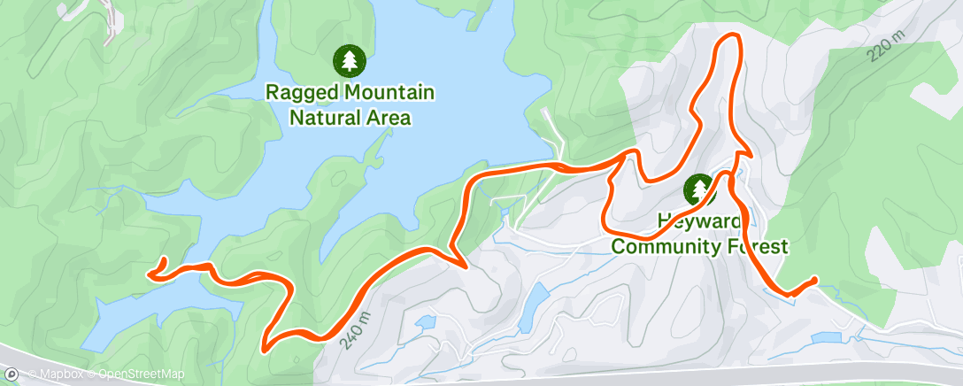 Map of the activity, Afternoon Run