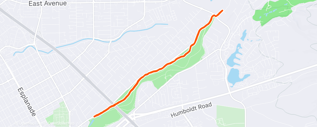 Карта физической активности (Morning Run)