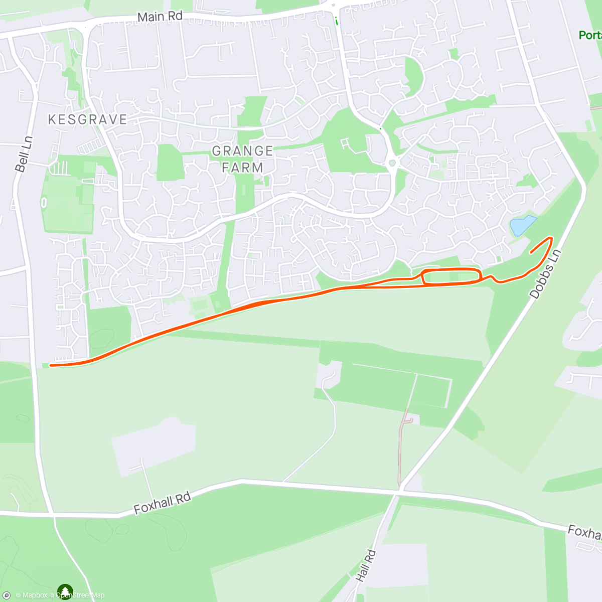 Карта физической активности (Kesgrave Park Run)