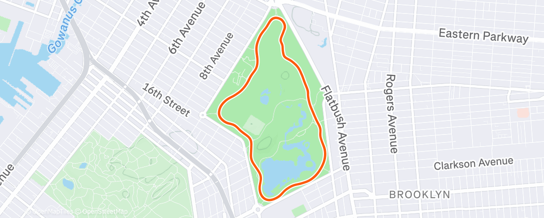 Карта физической активности (Zwift - 3/3/2min VO2max on Prospect Park Loop in New York)