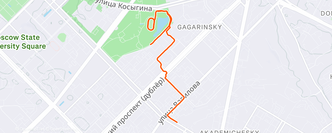 Map of the activity, Evening Run