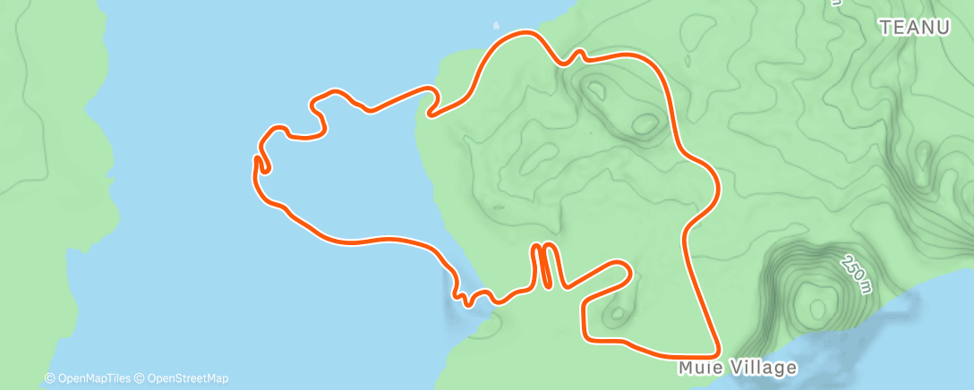 Map of the activity, Zwift - z2 on Volcano Flat in Watopia
