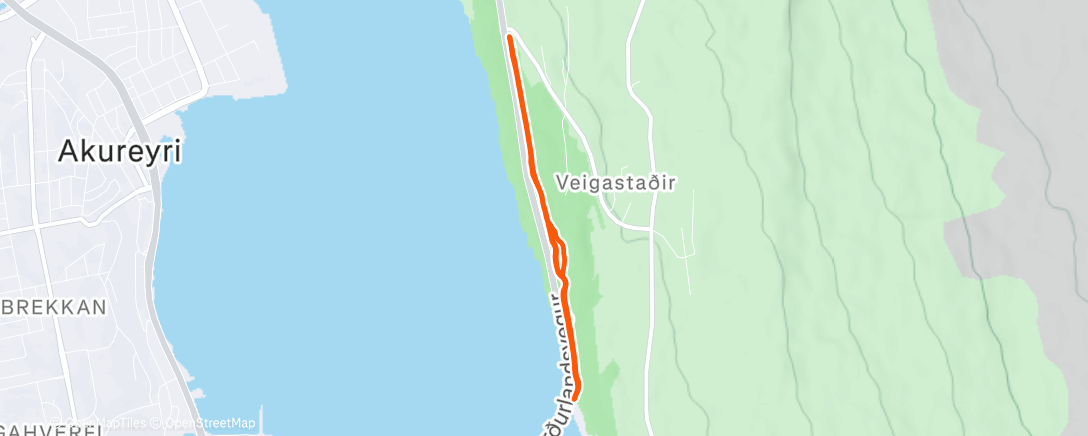 Map of the activity, Afternoon Run