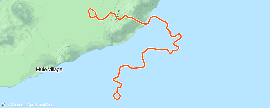 Map of the activity, Zwift - Tine in Watopia