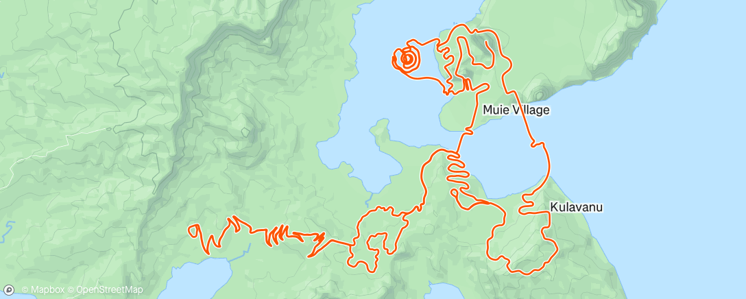 Карта физической активности (Zwift - Four Horsemen in Watopia)