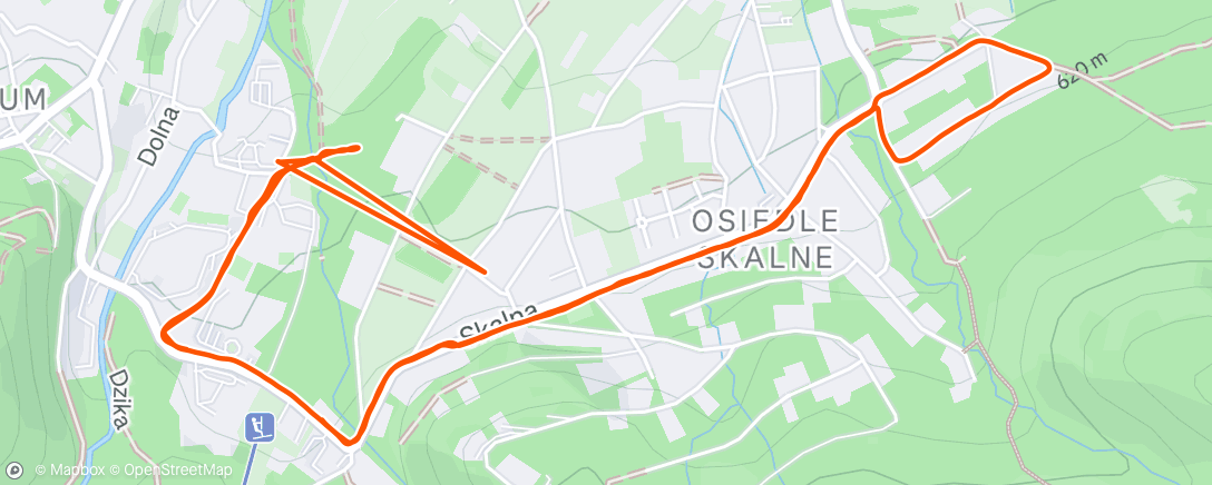 Map of the activity, Morning Run