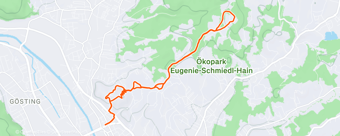 Map of the activity, Afternoon Run