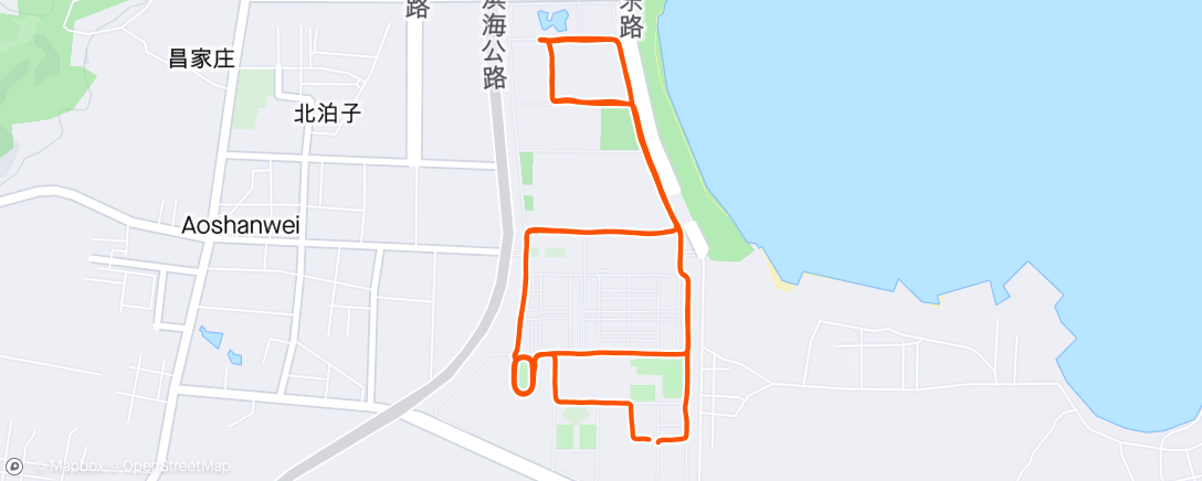Map of the activity, 🏃 🇨🇳 ☁️ Afternoon Run