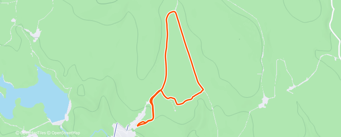 Карта физической активности (Morning Run)