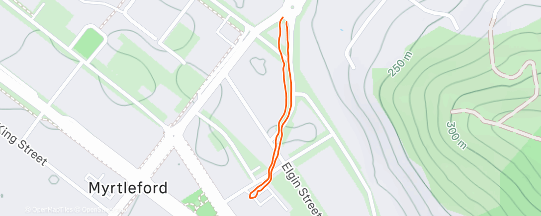 Map of the activity, Afternoon Walk