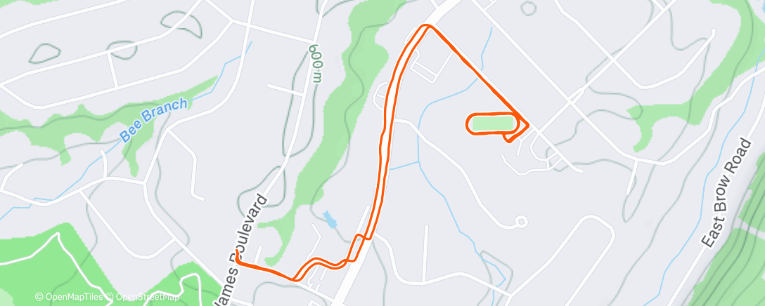 Карта физической активности (Morning Run)