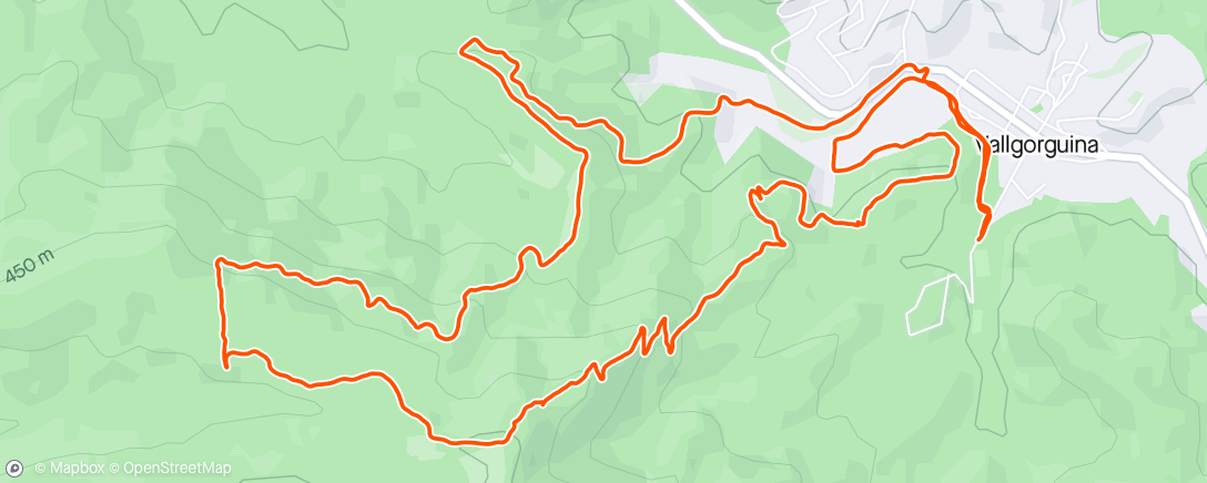 Map of the activity, Trail Running [Vallgorguina]