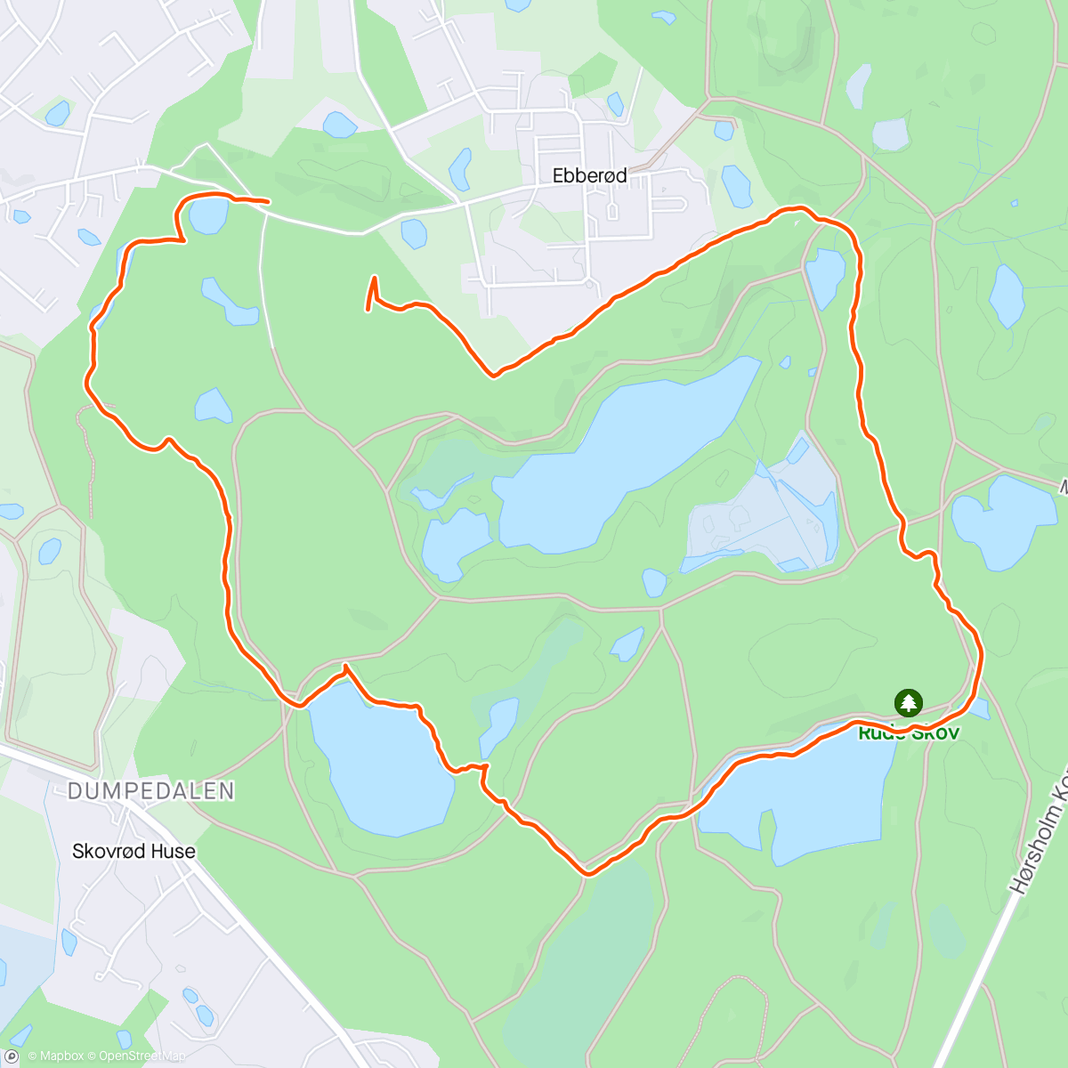 Mappa dell'attività Morning Trail Run