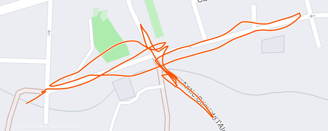 Map of the activity, Morning Run