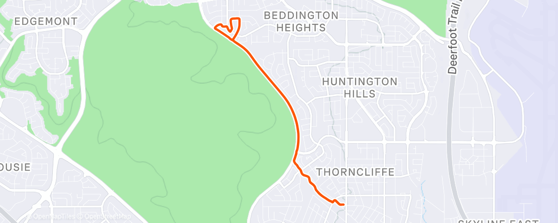 Карта физической активности (Afternoon Run)