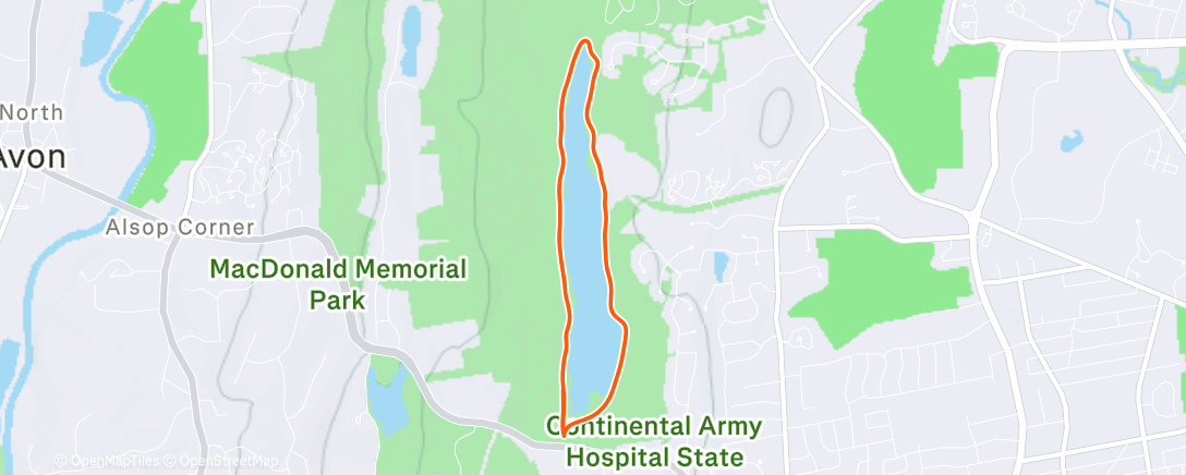 Карта физической активности (Magical Run w Erica!)