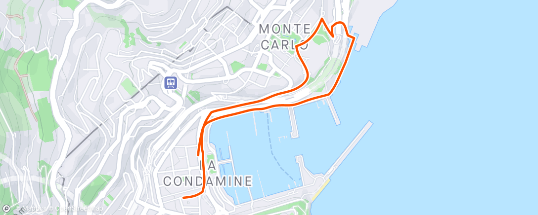 Map of the activity, Monte Carlo - Run
