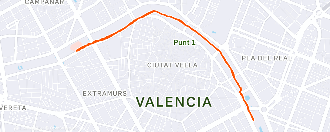 Map of the activity, Evening Run