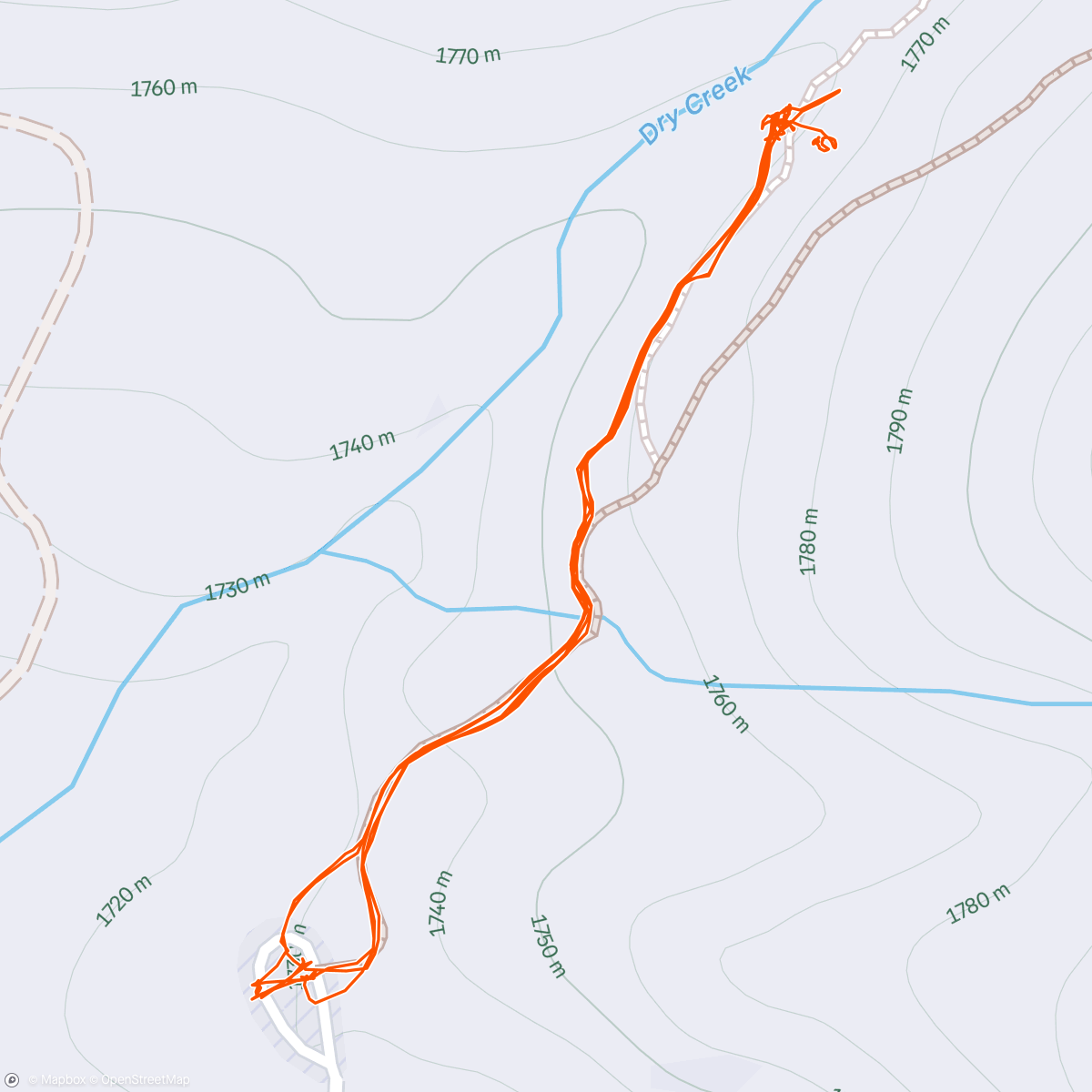 Map of the activity, Big tree