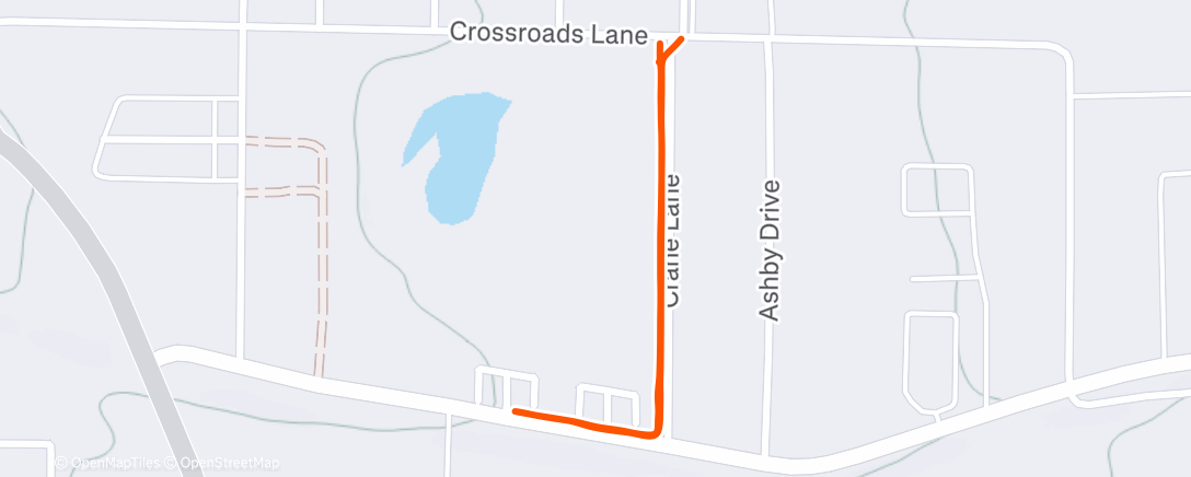 Карта физической активности (Morning Dog Walk)