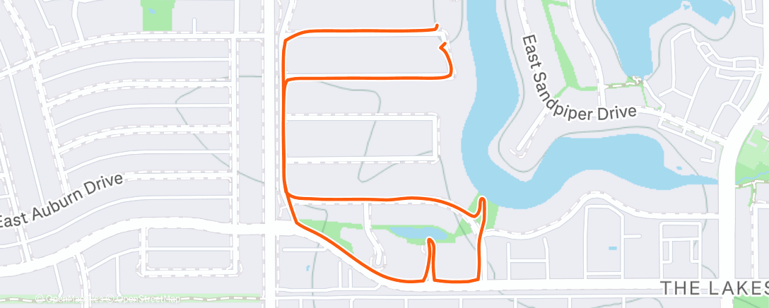 Map of the activity, Afternoon Walk