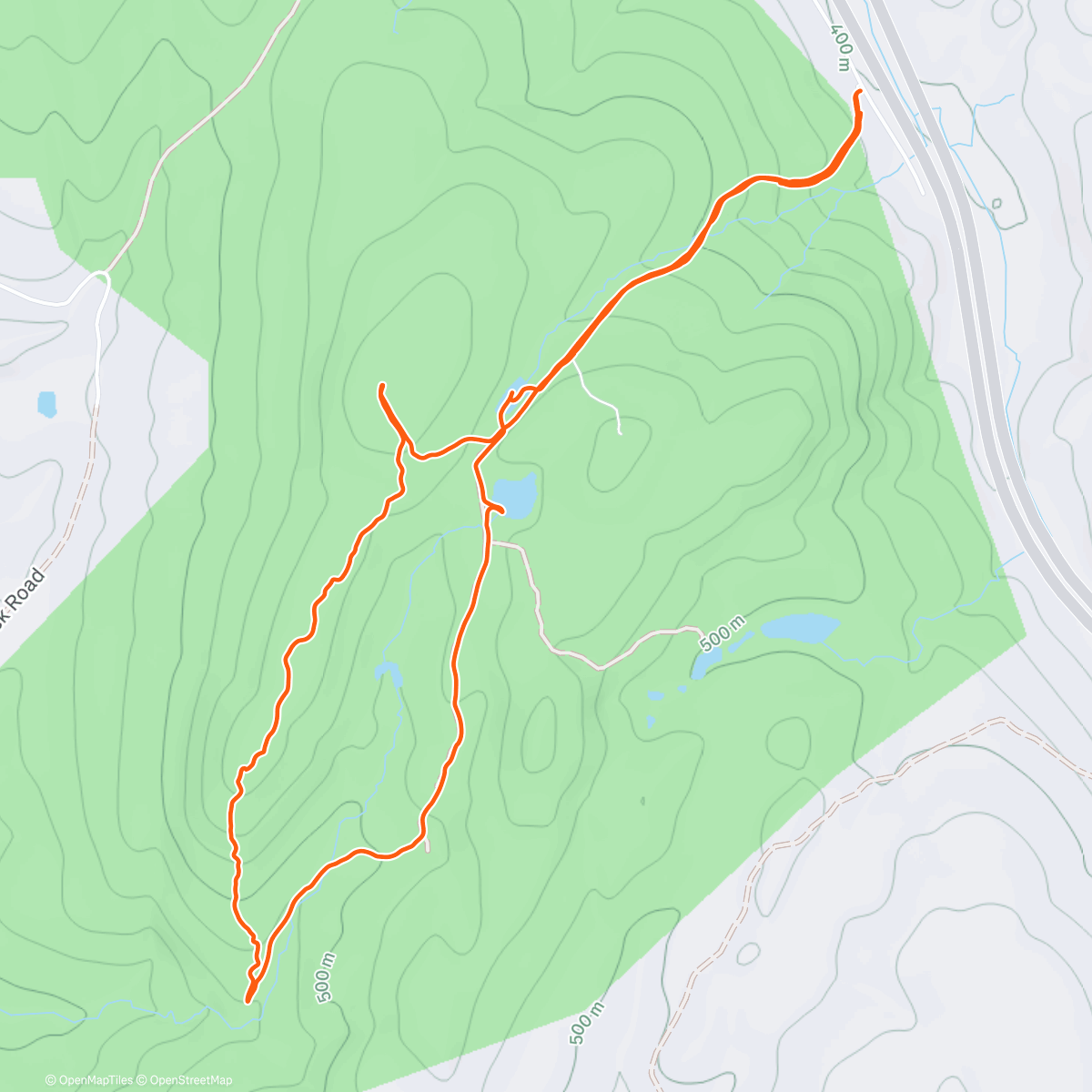 Map of the activity, 2026-01-04 Snow Mountain Whacking