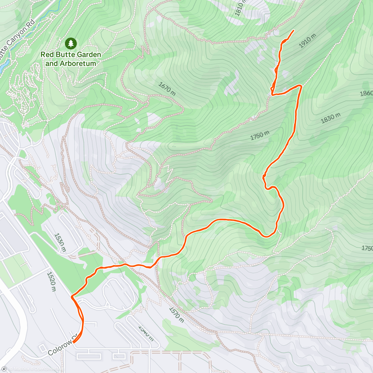 Карта физической активности (I AM A PIZZA 🍕)