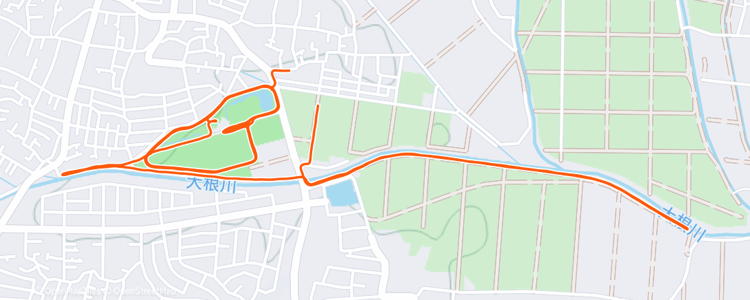 Map of the activity, 12x400